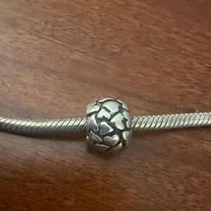 Pandora Flowers CZ and Sterling Charm